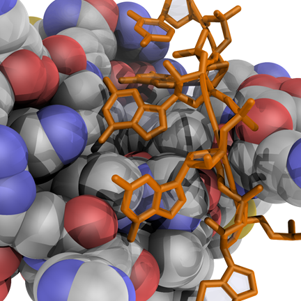 艾柏森蛋白表达纯化技术优势