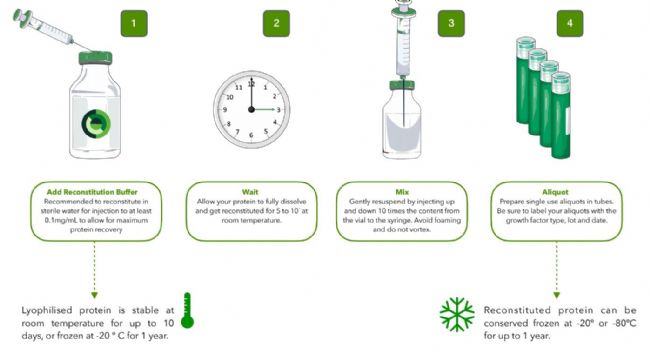 祝贺普瑞麦迪成为细胞因子一线品牌——法国Core Biogenesis中国区总代理