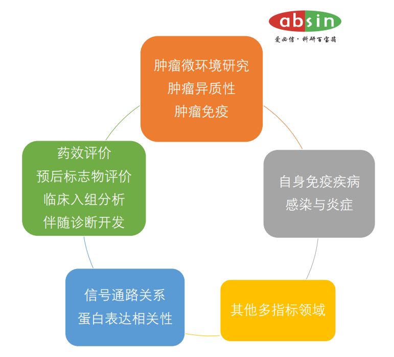 多重荧光免疫组化在器官移植排异反应评估中的应用