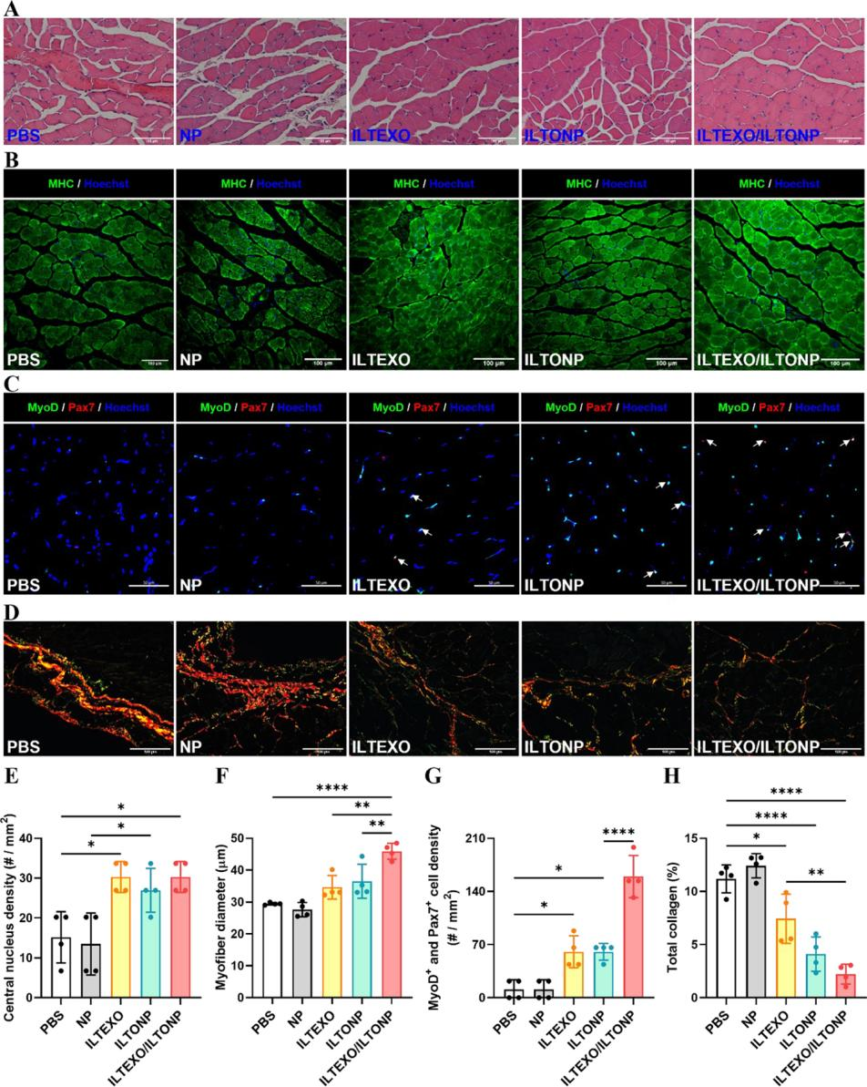 外泌体技术服务 外泌体技术服务