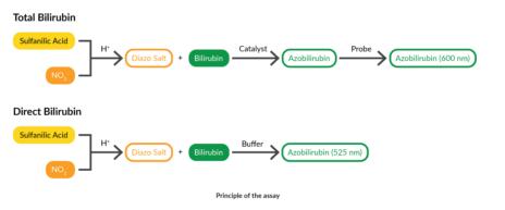 Cayman Chemical艾美捷总/直接胆红素比色测定试剂盒方案   
