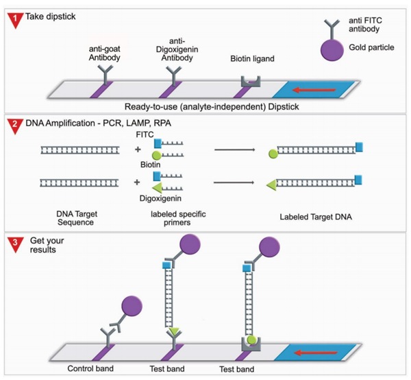 Milenia Biotec-2.png