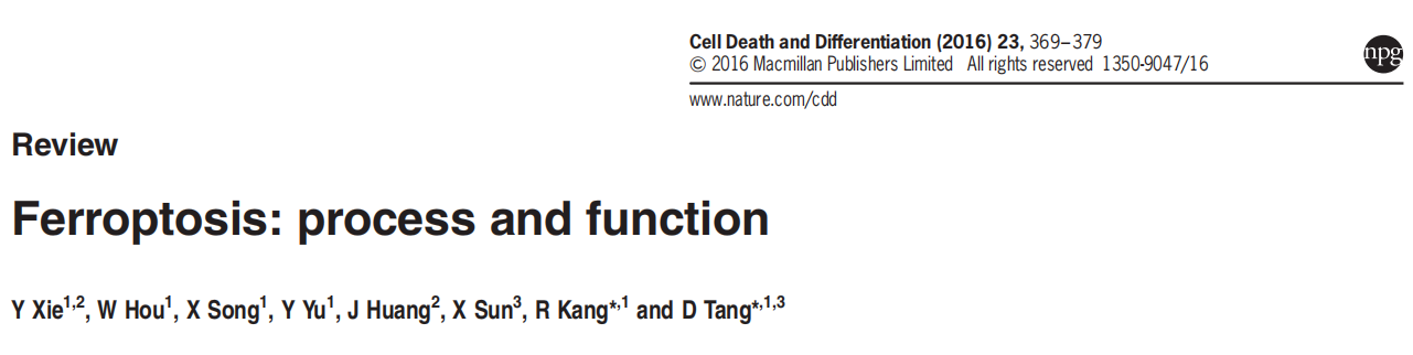 干货：铁死亡的机制原理