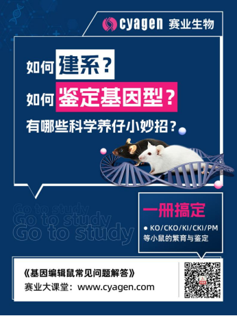 一小时包教包会！Cre工具鼠系统在实际应用场景中的问题与思考