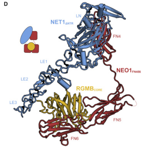 图片3.png 图片3.png