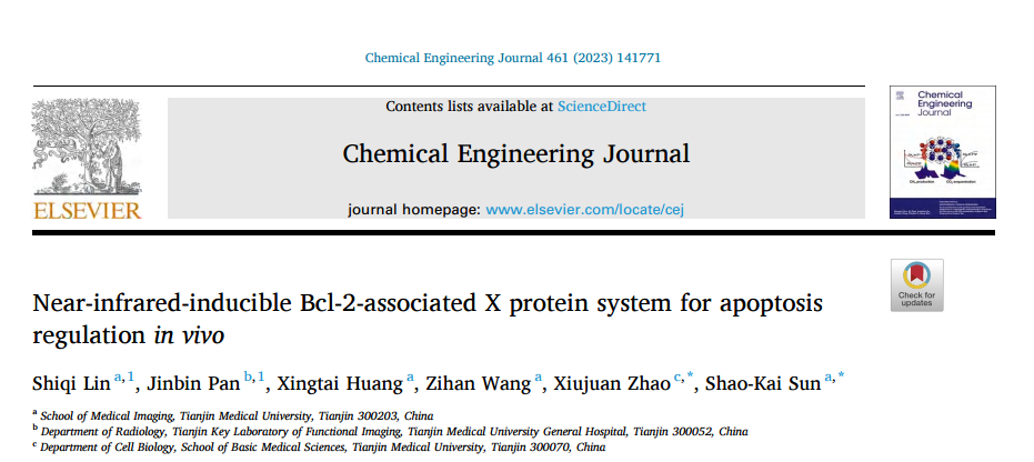 Ansin试剂盒，又双叒一高分文章！