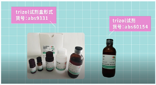     老板不在，随便乱卖-absin分子热卖产品5折