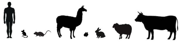 蛋白质测序和抗体种类