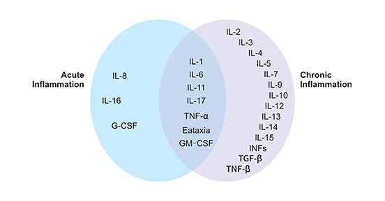 细胞因子和炎症性疾病