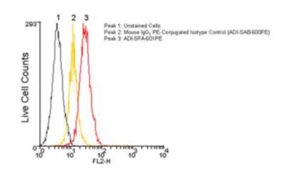 附文献,艾美捷钙网蛋白(CRT)单克隆抗体方案 附文献,艾美捷钙网蛋白(CRT)单克隆抗体方案