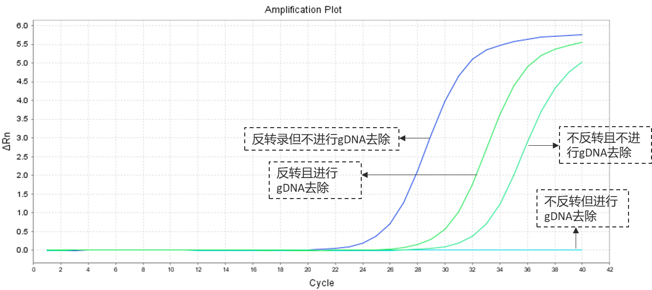 “咻”的一下！5分钟拿到想要的cDNA！