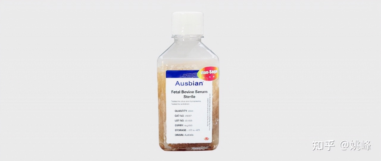 为何细胞培养中要用到胎牛血清