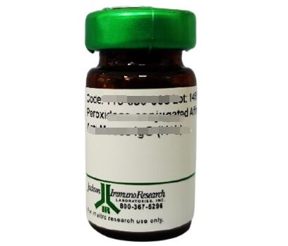 艾美捷Cy3标记亲和纯化山羊抗大鼠IgG说明书