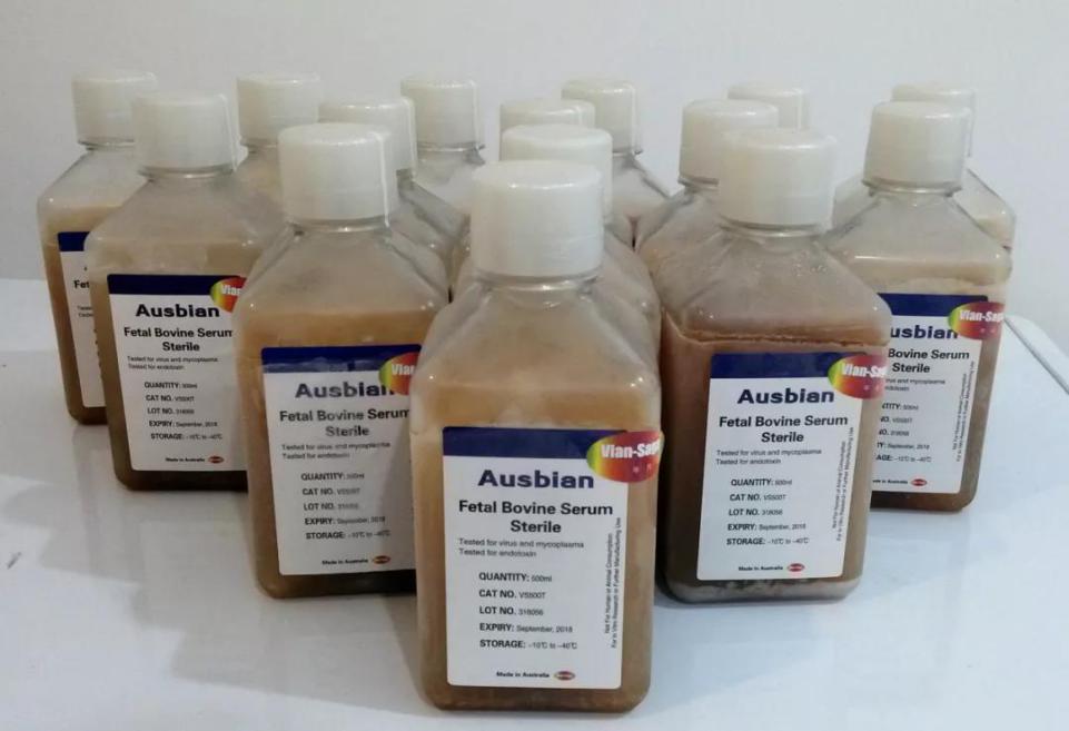 研究人员在评估胎牛血清时，需要考虑哪些因素