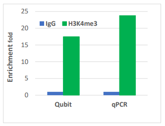 EpiNext CUT&amp;LUNCH检测试剂盒-超越CUT&amp;RUN/CHP不要错过哦