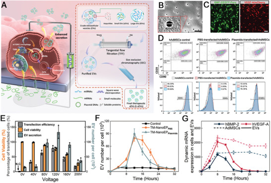 外泌体技术服务 外泌体技术服务