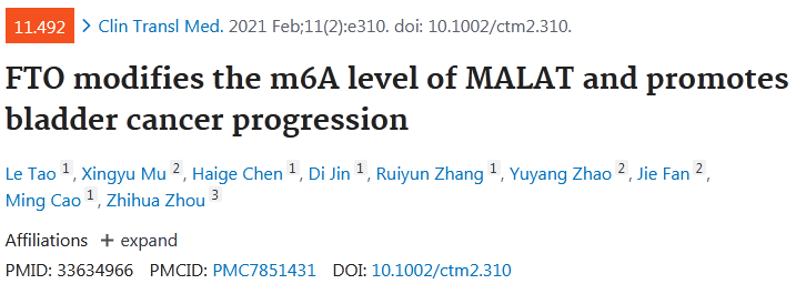 文献解读：FTO通过调节MALAT1甲基化促进膀胱癌的进展