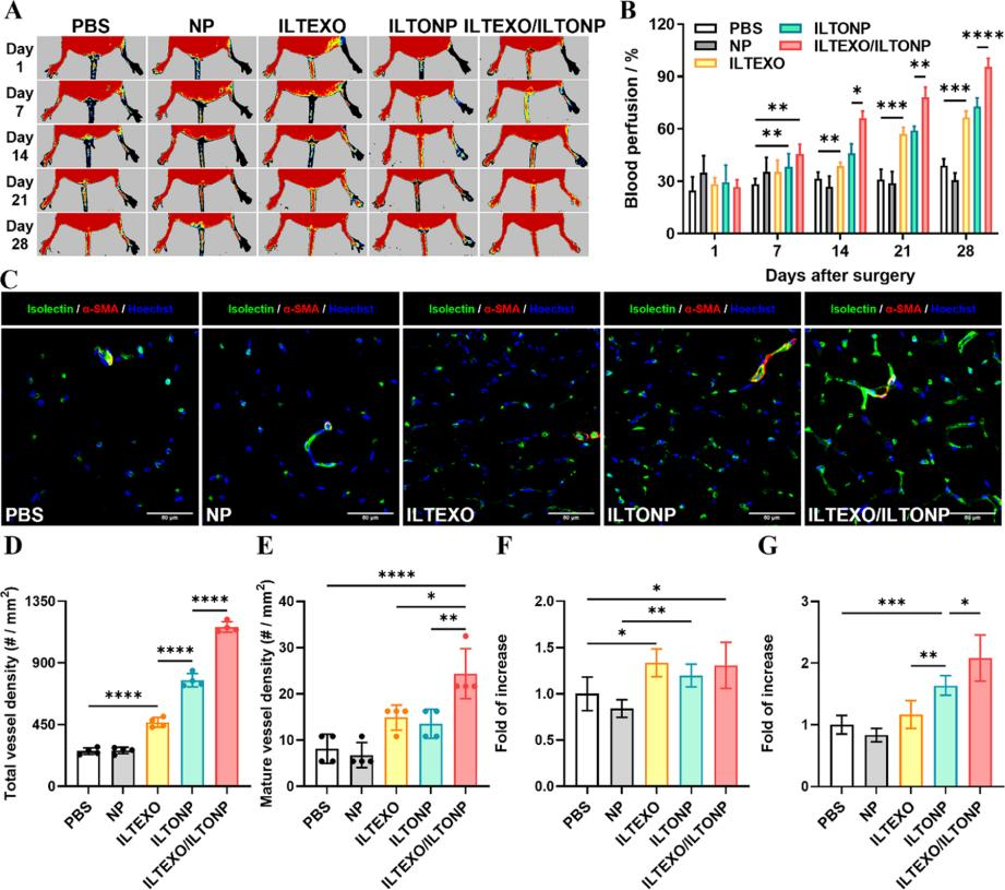 外泌体技术服务 外泌体技术服务
