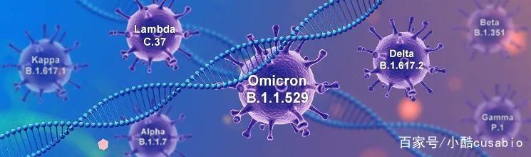 Omicron冲击波席卷全球，传染性比Delta高5倍？