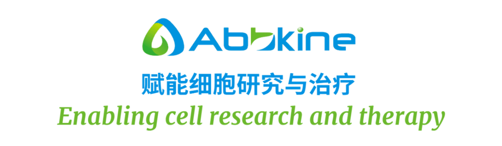 Annexin V-AbFluor™ 555细胞凋亡检测试剂盒（橙色荧光）操作步骤