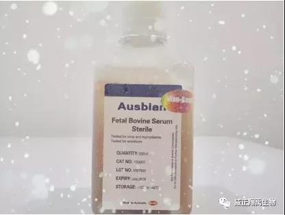 和你聊聊胎牛血清的相关知识