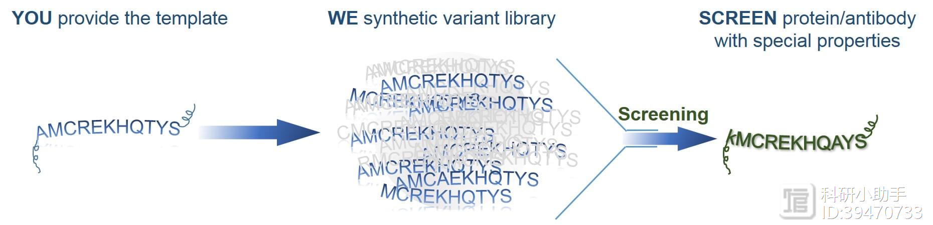 基因突变体文库构建技术原理