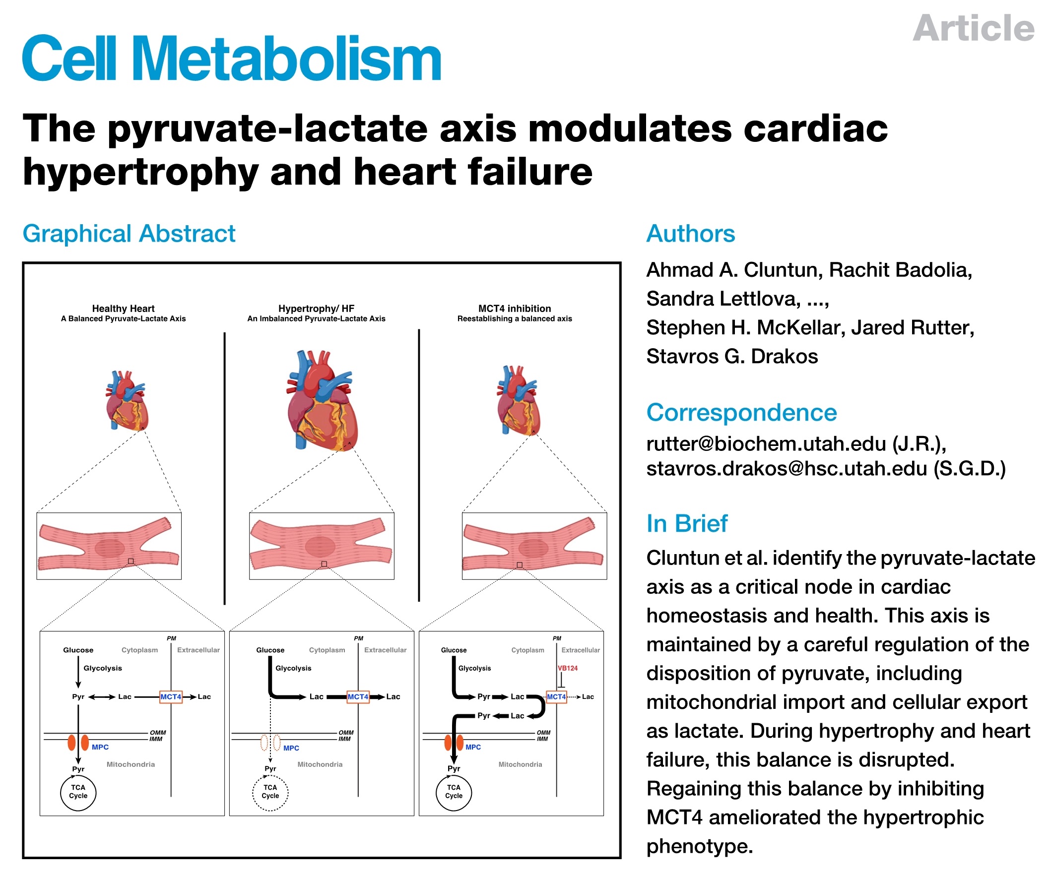Cell Metabolism︱丙酮酸-乳酸代谢轴异常诱发心肌肥大和心衰