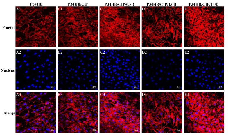 细胞染色专题——荧光染料选择指南