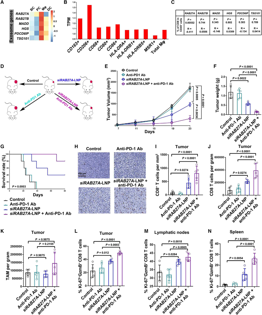 外泌体技术服务