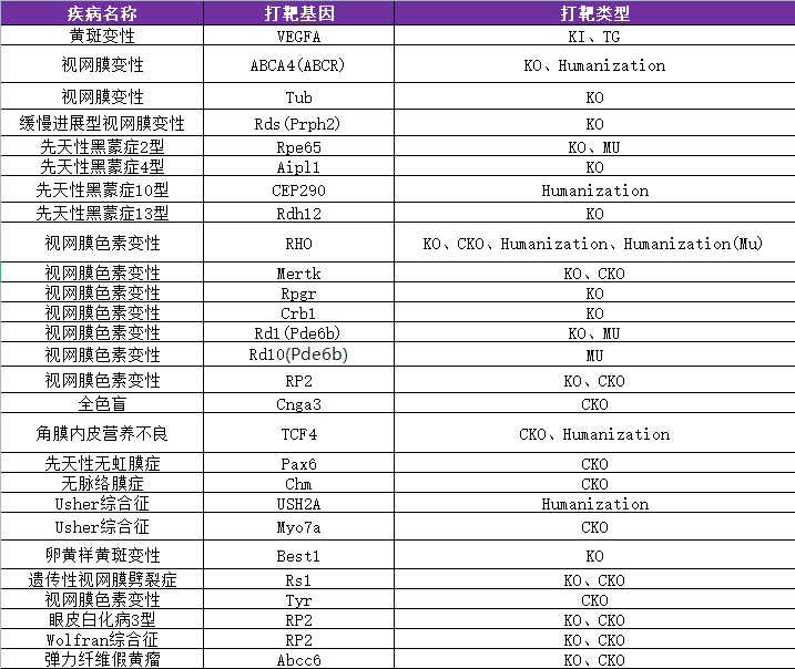 呵护光明未来——遗传性眼科疾病小鼠模型