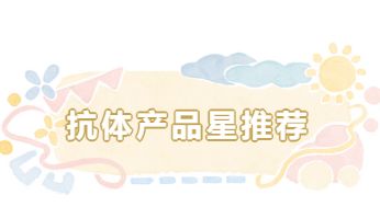 抗体产品星推荐第三十四期|Anti-HSPA9 Polyclonal Antibody