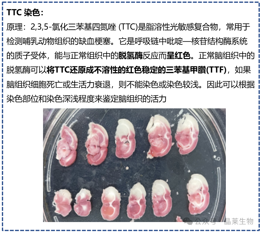 新闻图片10