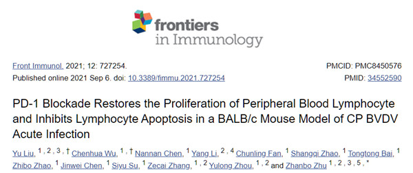 PD-1/PD-L1体内用抗体解决方案 PD-1/PD-L1体内用抗体解决方案