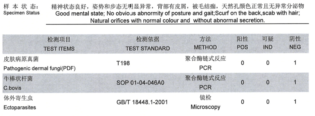 鼠皮肤状态异常怎么办