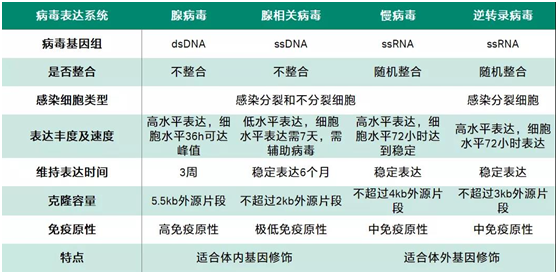 悬浮培养HEK293细胞包装病毒载体的过程优化