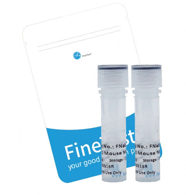 展会邀请|菲恩生物与您相约2023年广州BTE国际生物大会