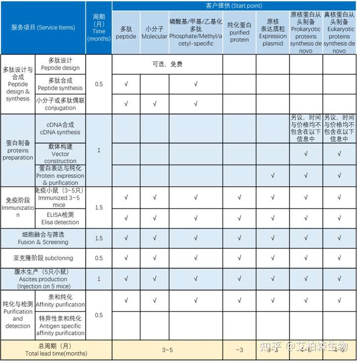 小鼠源单克隆抗体定制服务流程