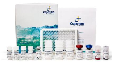 CD20嵌合单克隆抗体丨艾美捷Cayman Chemical方案 CD20嵌合单克隆抗体丨艾美捷Cayman Chemical方案