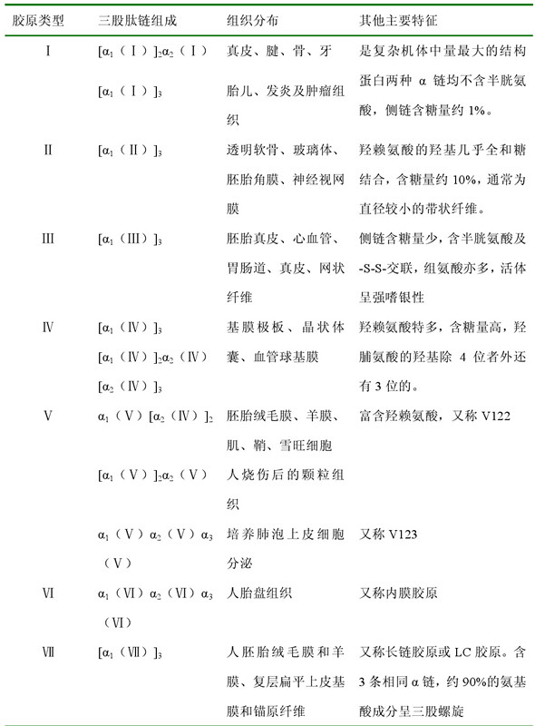 胶原蛋白的分类，以及相关检测试剂盒力荐