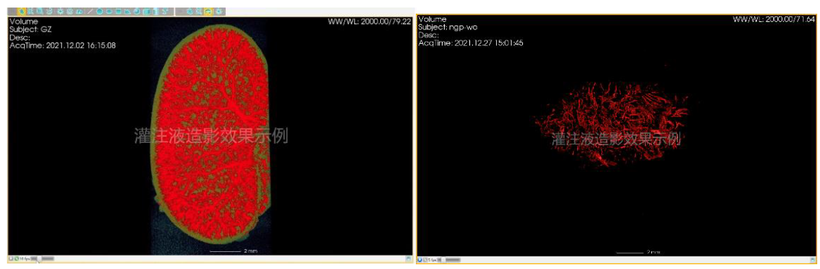 小动物成像检测有哪些?可以对应哪些指标?