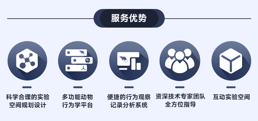 大小鼠行为学解决方案7折上新