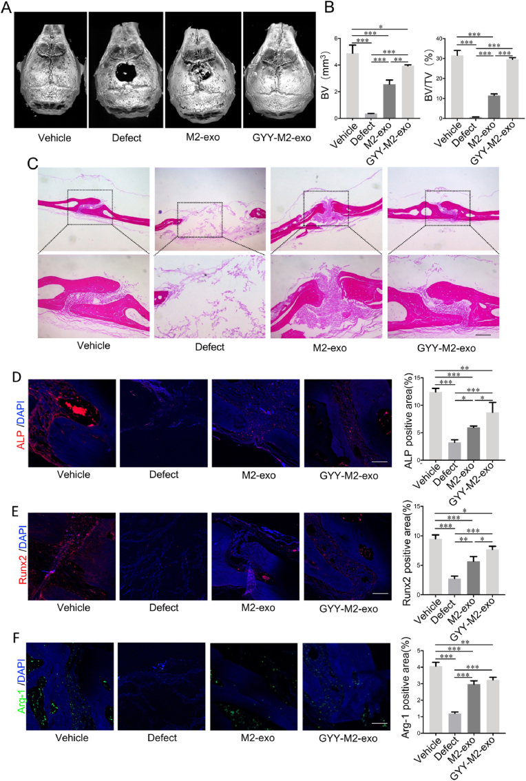 外泌体技术服务 外泌体技术服务