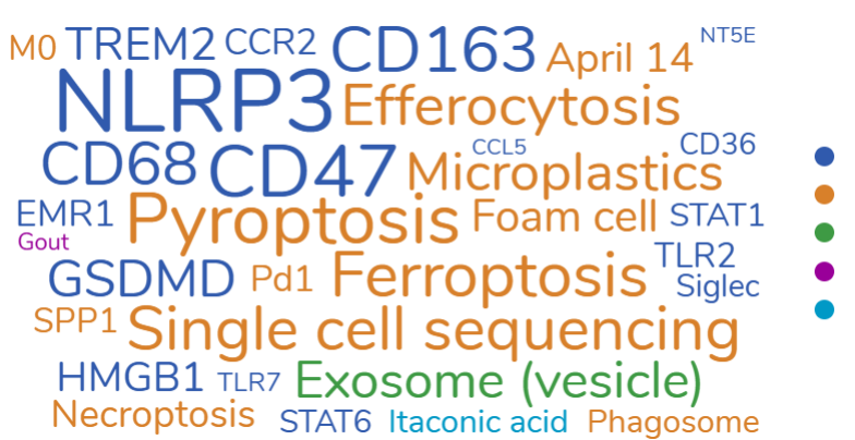 国自然热点 | 巨噬细胞基础知识点