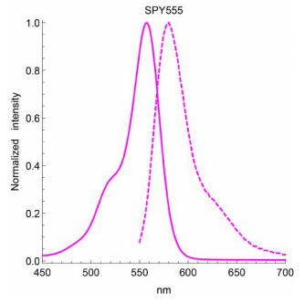 SPY555-DNA探针--试剂好物低价抢