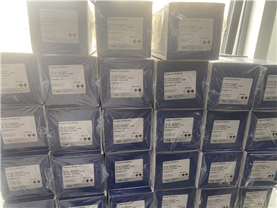 中英文说明书丨艾美捷人IgG2κ同型对照重组单克隆抗体 中英文说明书丨艾美捷人IgG2κ同型对照重组单克隆抗体