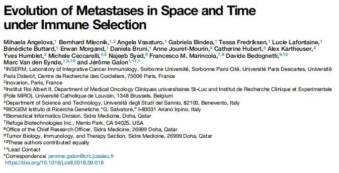 多重免疫组化花式搞定方案