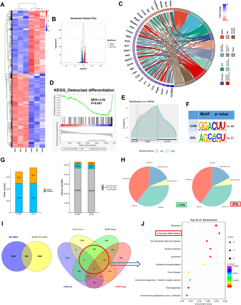 高通量测序和差异表达基因 高通量测序和差异表达基因