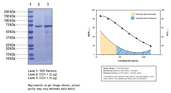 重组人COX-1参数和实例展示 重组人COX-1参数和实例展示