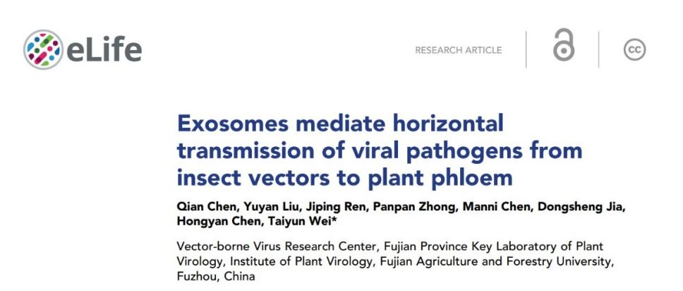 【eLife】8分+，外泌体怎么跨越昆虫到植物水平传播病毒？