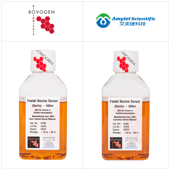 Bovogen/艾美捷高质量胎牛血清与BSA全场促销